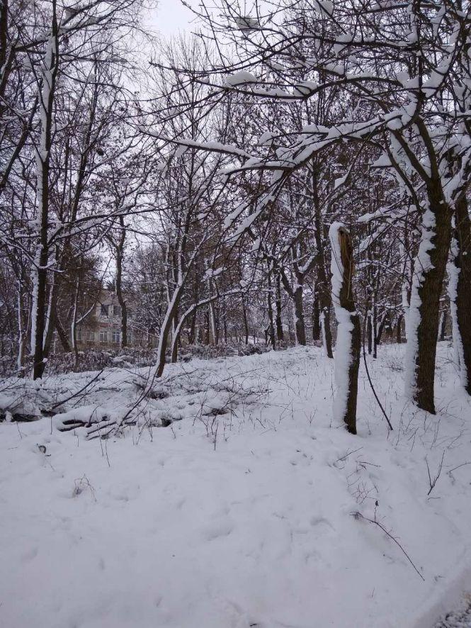 Новини Вінниці - фото з На Вінниччині за підтримки обласного бюджету відновлюють старовинний парк (Прес-служба Вінницької обласної Ради) На Вінниччині за підтримки обласного бюджету відновлюють старовинний парк (Прес-служба Вінницької обласної Ради), фото №2 на сайті 20minut.ua