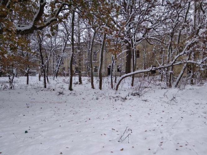 Новини Вінниці - фото з На Вінниччині за підтримки обласного бюджету відновлюють старовинний парк (Прес-служба Вінницької обласної Ради) На Вінниччині за підтримки обласного бюджету відновлюють старовинний парк (Прес-служба Вінницької обласної Ради), фото №1 на сайті 20minut.ua