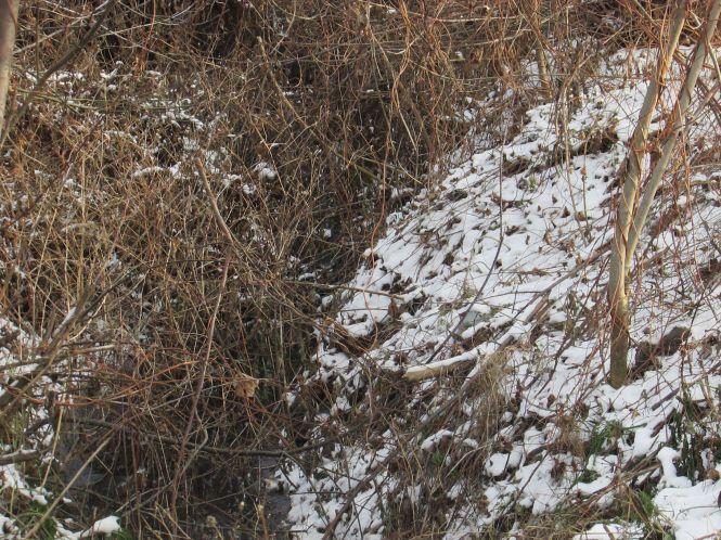 Козятин сьогодні — діти, рибалки та небезпечні люки, фото №7 на сайті 20minut.ua