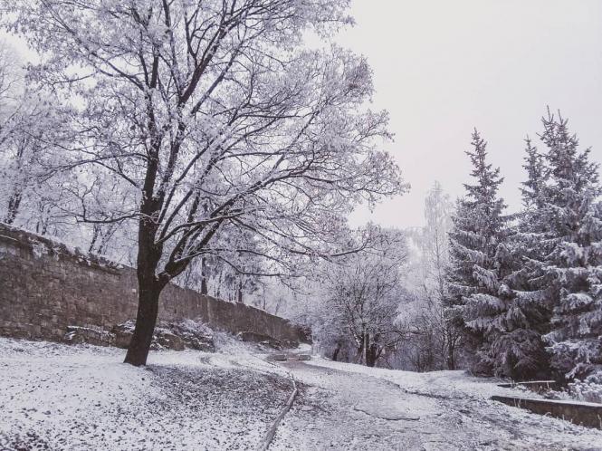 Як виглядають засніжені вулички в містечках Тернопільщини. Підбірка фото з Instagram, фото №5 на сайті 20minut.ua