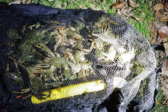 Події у Кам’янці-Подільському, які ви могли пропустити: ТОП - 5 новин, фото №2 на сайті 20minut.ua