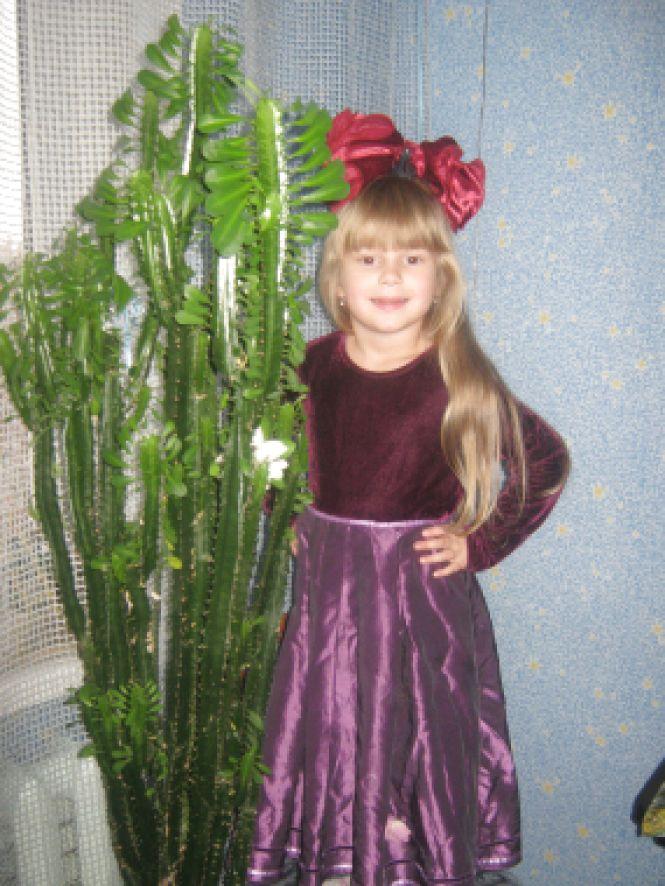 Шукаємо містера та міс Козятинщини, фото №1 на сайті 20minut.ua