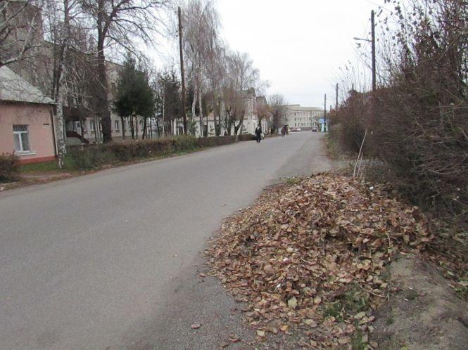 Найнещасніші: вулиці Джерельна та Винниченка без догляду влади, фото №1 на сайті 20minut.ua