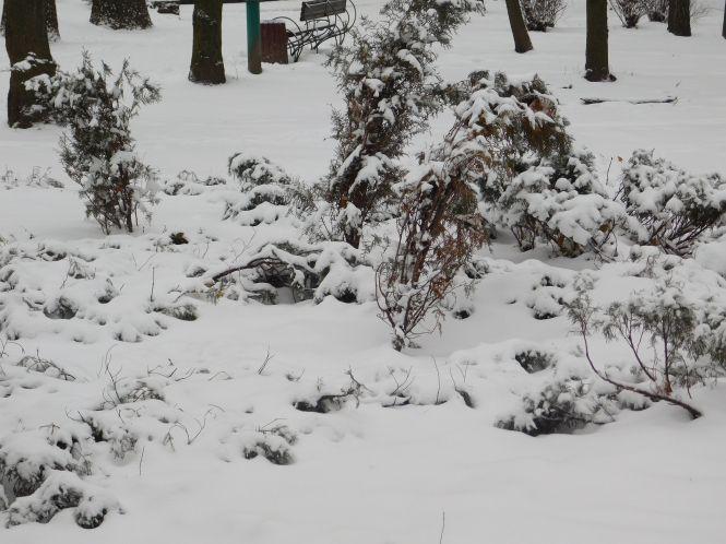 Хмельницький засипало снігом: як виглядає по-зимовому осіннє місто (ФОТО), фото №5 на сайті vsim.ua