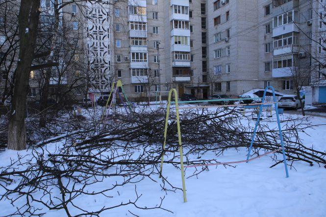 Замість дерев – парковка? Чому вирубують дерева у дворі на Скалецького, фото №5 на сайті 20minut.ua
