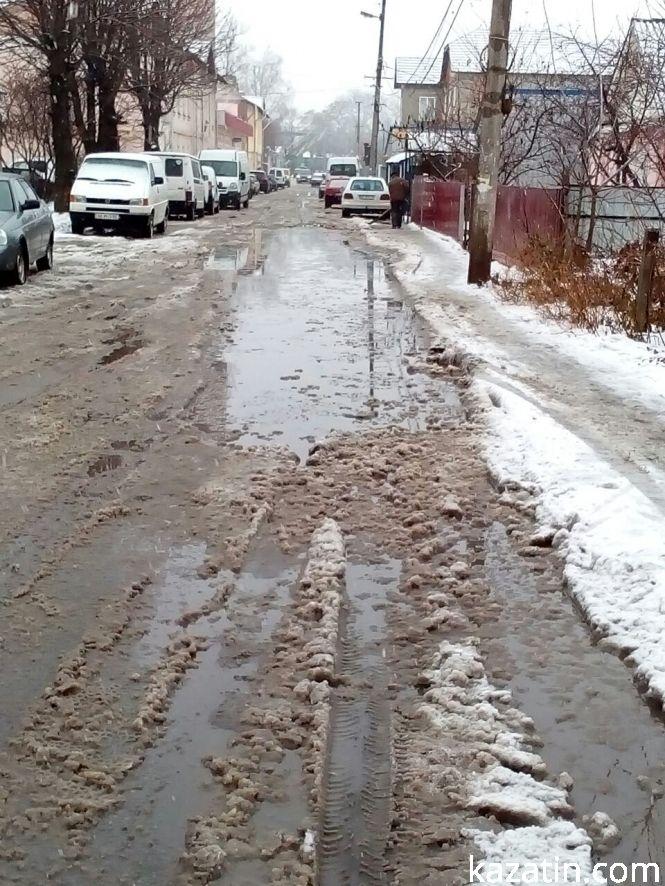 Новини Козятина - фото з Фото дня: по Винниченка, як по морю... Фото дня: по Винниченка, як по морю..., фото №1 на сайті 20minut.ua