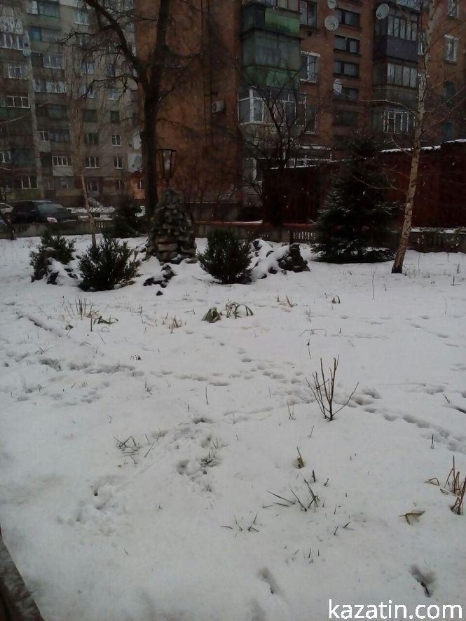 Козятин у фото 5 грудня, фото №5 на сайті 20minut.ua