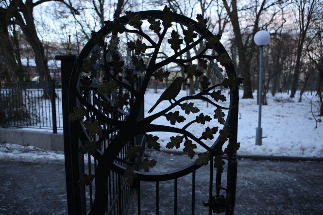 Новини Вінниці - фото з Фото дня: Нові ворота в Центральний парк і будівництво біля міської ради Фото дня: Нові ворота в Центральний парк і будівництво біля міської ради, фото №6 на сайті 20minut.ua