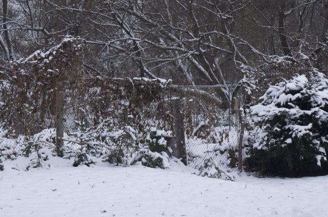 Новини Вінниці - фото з Набережна від Київського мосту до Водоканалу: приватна пристань з маяком, кладовище та «зона» Набережна від Київського мосту до Водоканалу: приватна пристань з маяком, кладовище та «зона», фото №17 на сайті 20minut.ua