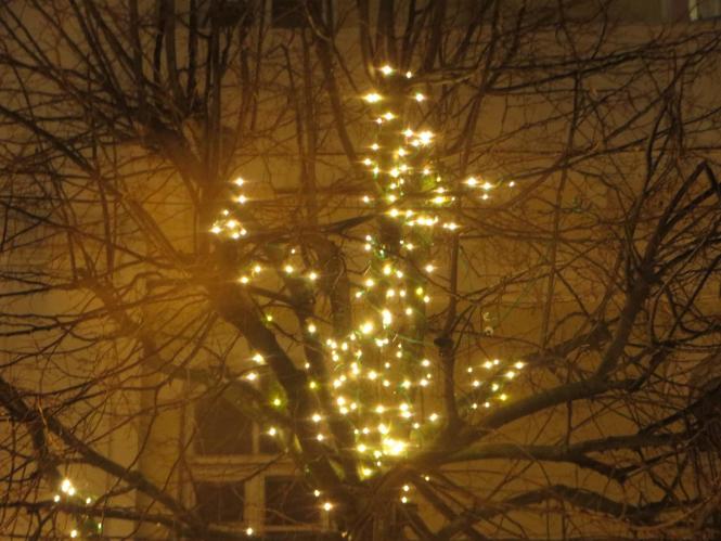 Новини Хмельницького - фото з Як виглядає вечірня «стометрівка» (ФОТО) Як виглядає вечірня «стометрівка» (ФОТО), фото №9 на сайті vsim.ua