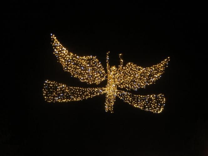 Новини Хмельницького - фото з Як виглядає вечірня «стометрівка» (ФОТО) Як виглядає вечірня «стометрівка» (ФОТО), фото №11 на сайті vsim.ua