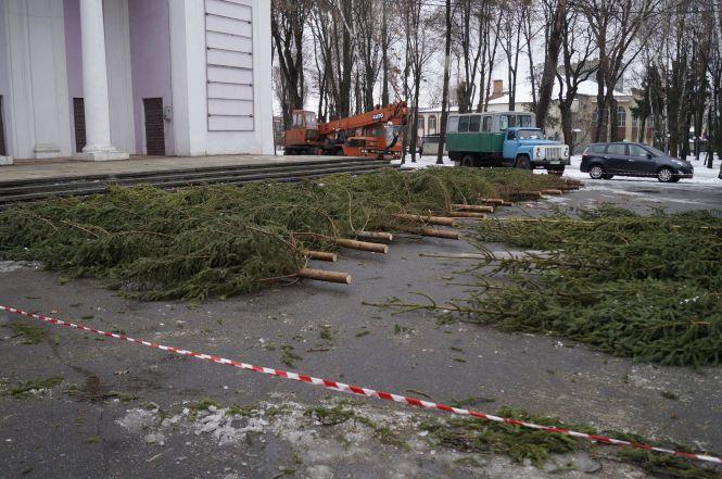 Новини Вінниці - фото з Фото дня: Як у парку збирають «ялинку конструктор» Фото дня: Як у парку збирають «ялинку конструктор», фото №3 на сайті 20minut.ua