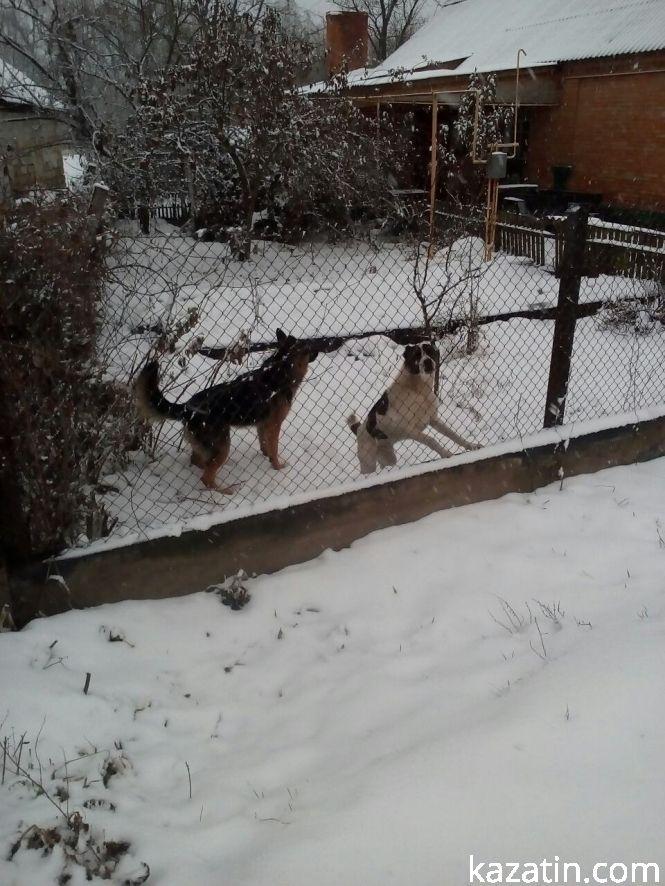 Козятинщину засипає снігом, фото №6 на сайті 20minut.ua