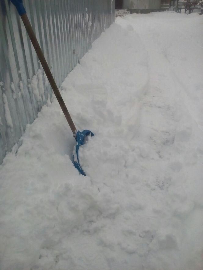 Козятинська зимова казка, фото №6 на сайті 20minut.ua