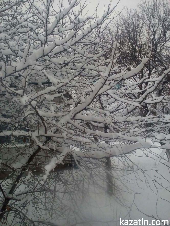 Козятинська зимова казка, фото №1 на сайті 20minut.ua