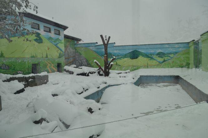 Без гаджетів та синіх екранів: як розважатися у місті взимку?, фото №4 на сайті 20minut.ua