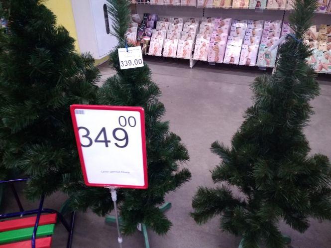 Новини Хмельницького - фото з Скільки коштують штучні ялинки у Хмельницькому Скільки коштують штучні ялинки у Хмельницькому, фото №3 на сайті vsim.ua