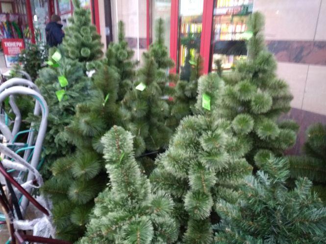 Новини Хмельницького - фото з Скільки коштують штучні ялинки у Хмельницькому Скільки коштують штучні ялинки у Хмельницькому, фото №8 на сайті vsim.ua