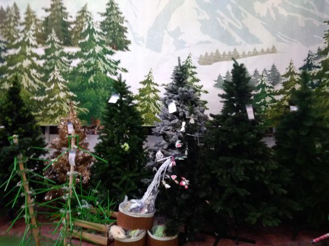 Новини Хмельницького - фото з Скільки коштують штучні ялинки у Хмельницькому Скільки коштують штучні ялинки у Хмельницькому, фото №4 на сайті vsim.ua