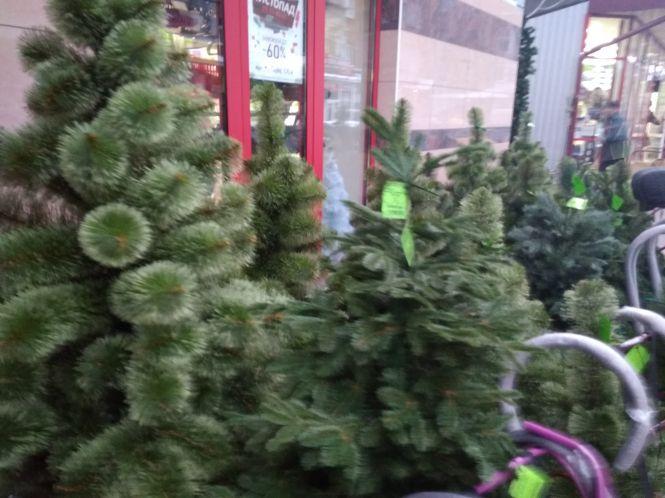 Новини Хмельницького - фото з Скільки коштують штучні ялинки у Хмельницькому Скільки коштують штучні ялинки у Хмельницькому, фото №7 на сайті vsim.ua