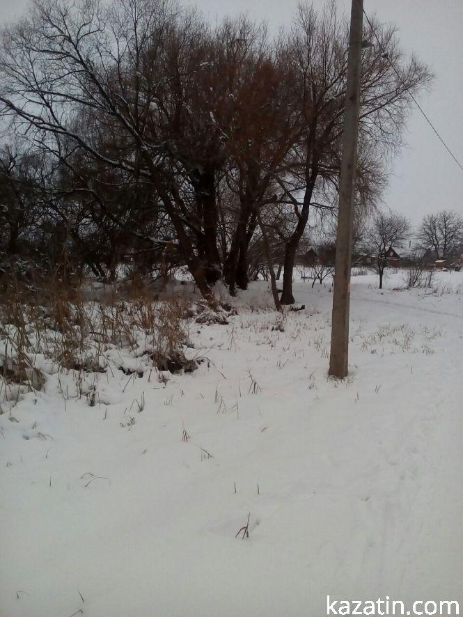 Козятинщина 17 грудня у фото, фото №3 на сайті 20minut.ua