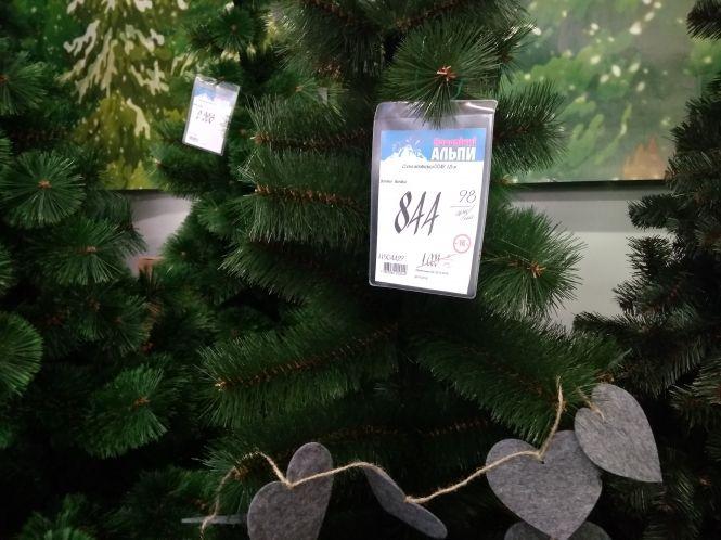 Новини Хмельницького - фото з Скільки коштують штучні ялинки у Хмельницькому Скільки коштують штучні ялинки у Хмельницькому, фото №6 на сайті vsim.ua