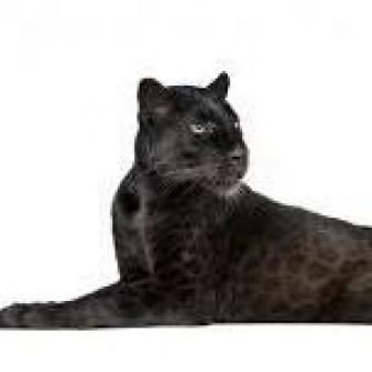 Новини Козятина - фото з Свята правда Свята правда, фото №4 на сайті 20minut.ua