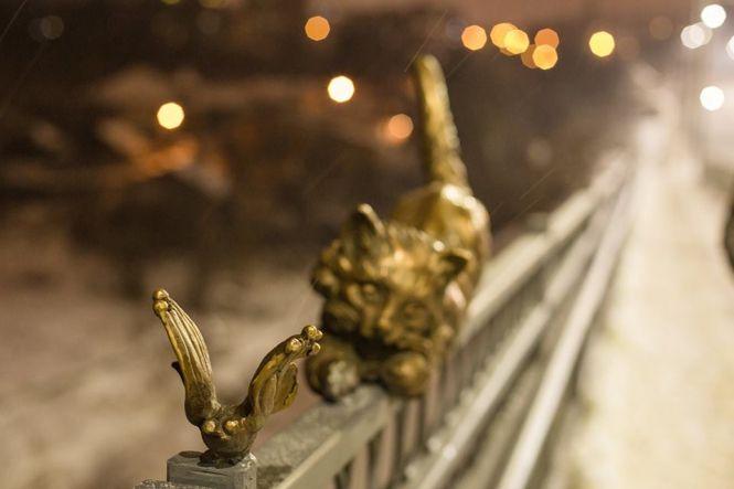 Новини Вінниці - фото з На Київському мосту «оселилися» бронзові коти, голуби та качки На Київському мосту «оселилися» бронзові коти, голуби та качки, фото №1 на сайті 20minut.ua