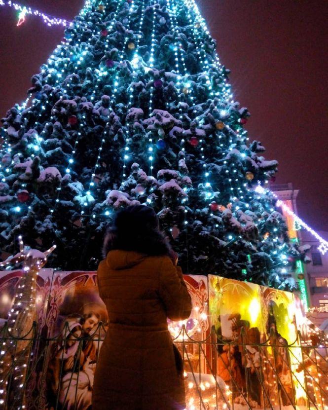 Новини Тернополя - фото з В Instagram публікують фото головної ялинки Тернополя В Instagram публікують фото головної ялинки Тернополя, фото №2 на сайті 20minut.ua