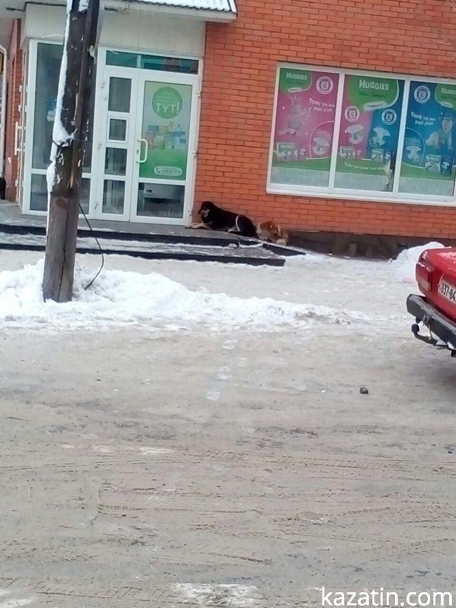 Козятин на Миколая, 19 грудня, фото №4 на сайті 20minut.ua