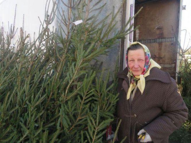 Скільки коштують “живі” ялинки у Хмельницькому, фото №1 на сайті vsim.ua