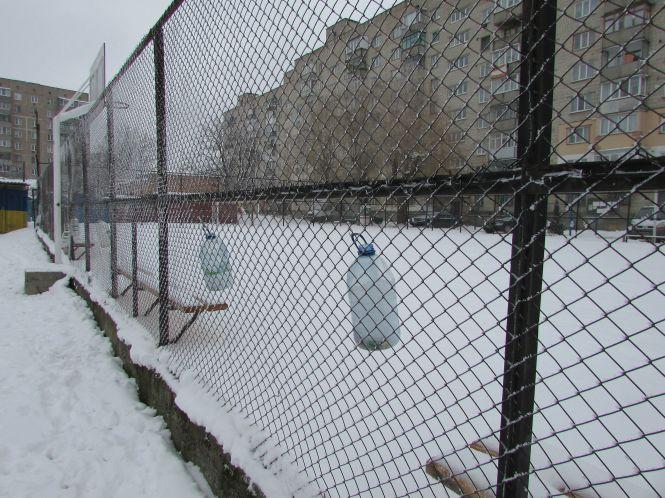Фото дня: до Нового року залишився тиждень, фото №1 на сайті 20minut.ua