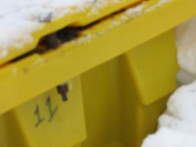 Новини Козятина - фото з Дороги не посипають Дороги не посипають, фото №1 на сайті 20minut.ua