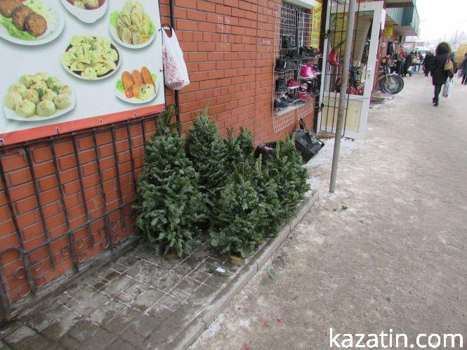 Фото дня: до Нового року залишився тиждень, фото №5 на сайті 20minut.ua