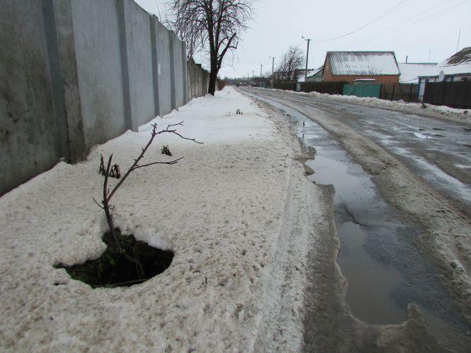 Що спільного у Козятина з Венецією? (ВІДЕО), фото №7 на сайті 20minut.ua