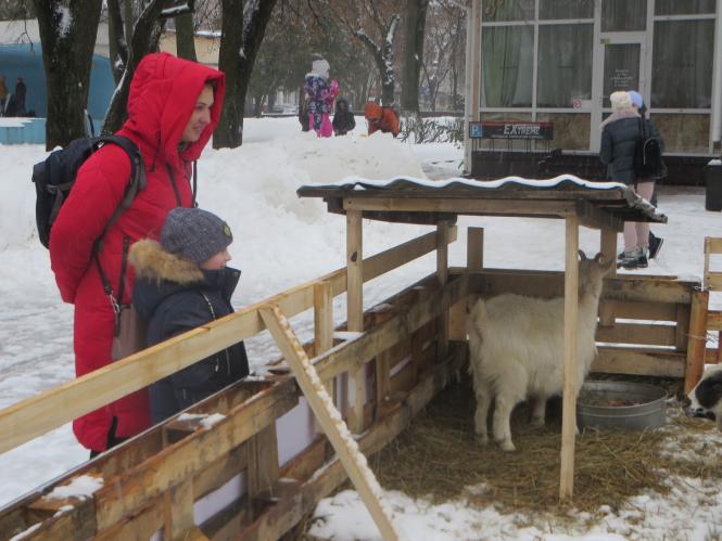Новини Хмельницького - фото з Фото дня: біля ялинки на Проскурівській з’явилися живі овечки та коза Фото дня: біля ялинки на Проскурівській з’явилися живі овечки та коза, фото №1 на сайті vsim.ua