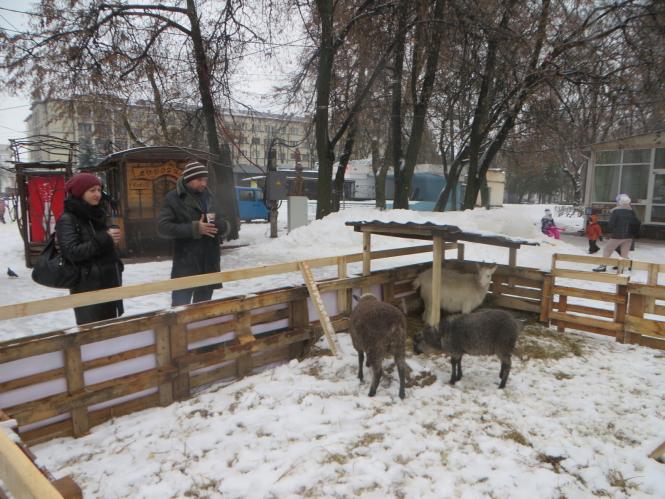 Новини Хмельницького - фото з Фото дня: біля ялинки на Проскурівській з’явилися живі овечки та коза Фото дня: біля ялинки на Проскурівській з’явилися живі овечки та коза, фото №6 на сайті vsim.ua