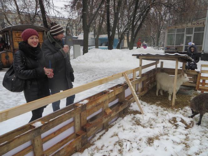 Новини Хмельницького - фото з Фото дня: біля ялинки на Проскурівській з’явилися живі овечки та коза Фото дня: біля ялинки на Проскурівській з’явилися живі овечки та коза, фото №3 на сайті vsim.ua