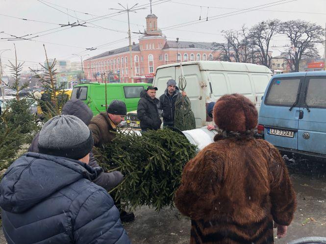 Новини Вінниці - фото з Де та за скільки придбати новорічну ялинку у Вінниці? На ялинкових базарах за допомогою спеціальних пристроїв дерева пакують у сітки. Так вони займають менше місця