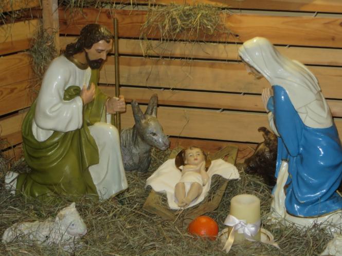 Новини Хмельницького - фото з Як виглядають різдвяні вертепи у костелах Хмельницького Як виглядають різдвяні вертепи у костелах Хмельницького, фото №11 на сайті vsim.ua