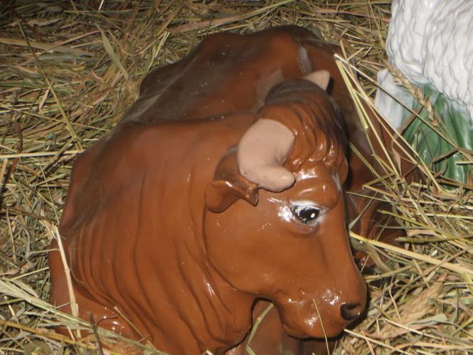 Новини Хмельницького - фото з Як виглядають різдвяні вертепи у костелах Хмельницького Як виглядають різдвяні вертепи у костелах Хмельницького, фото №24 на сайті vsim.ua