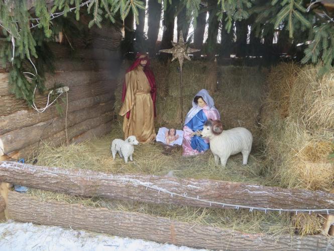 Новини Хмельницького - фото з Як виглядають різдвяні вертепи у костелах Хмельницького Як виглядають різдвяні вертепи у костелах Хмельницького, фото №8 на сайті vsim.ua