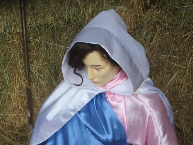 Новини Хмельницького - фото з Як виглядають різдвяні вертепи у костелах Хмельницького Як виглядають різдвяні вертепи у костелах Хмельницького, фото №2 на сайті vsim.ua