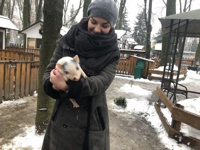 Новини Вінниці - фото з Вінницькі свинки: як живуть символи майбутнього року Вінницькі свинки: як живуть символи майбутнього року, фото №7 на сайті 20minut.ua