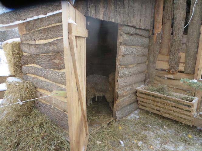 Новини Хмельницького - фото з Як виглядають різдвяні вертепи у костелах Хмельницького Як виглядають різдвяні вертепи у костелах Хмельницького, фото №9 на сайті vsim.ua