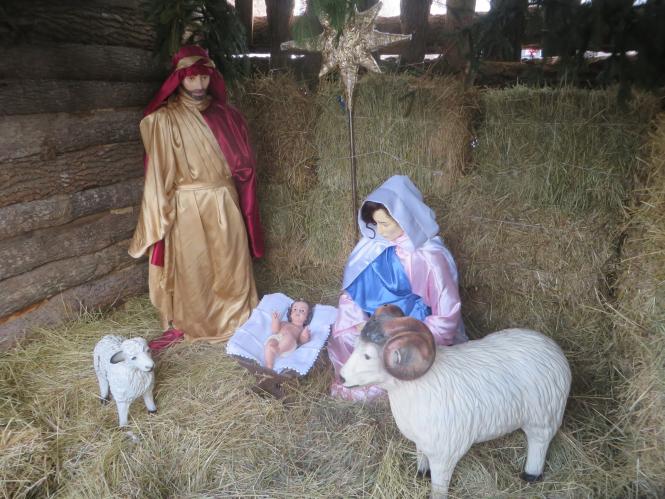 Новини Хмельницького - фото з Як виглядають різдвяні вертепи у костелах Хмельницького Як виглядають різдвяні вертепи у костелах Хмельницького, фото №1 на сайті vsim.ua