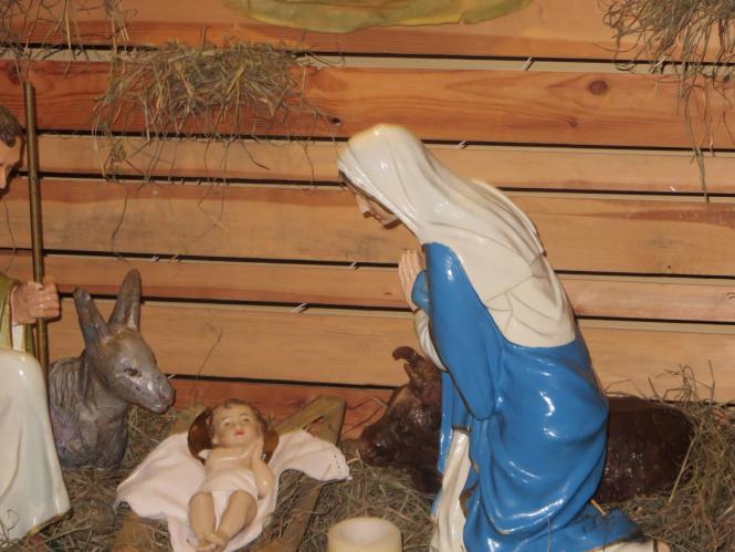 Новини Хмельницького - фото з Як виглядають різдвяні вертепи у костелах Хмельницького Як виглядають різдвяні вертепи у костелах Хмельницького, фото №14 на сайті vsim.ua