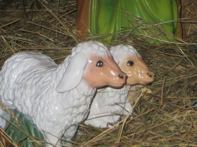 Новини Хмельницького - фото з Як виглядають різдвяні вертепи у костелах Хмельницького Як виглядають різдвяні вертепи у костелах Хмельницького, фото №23 на сайті vsim.ua