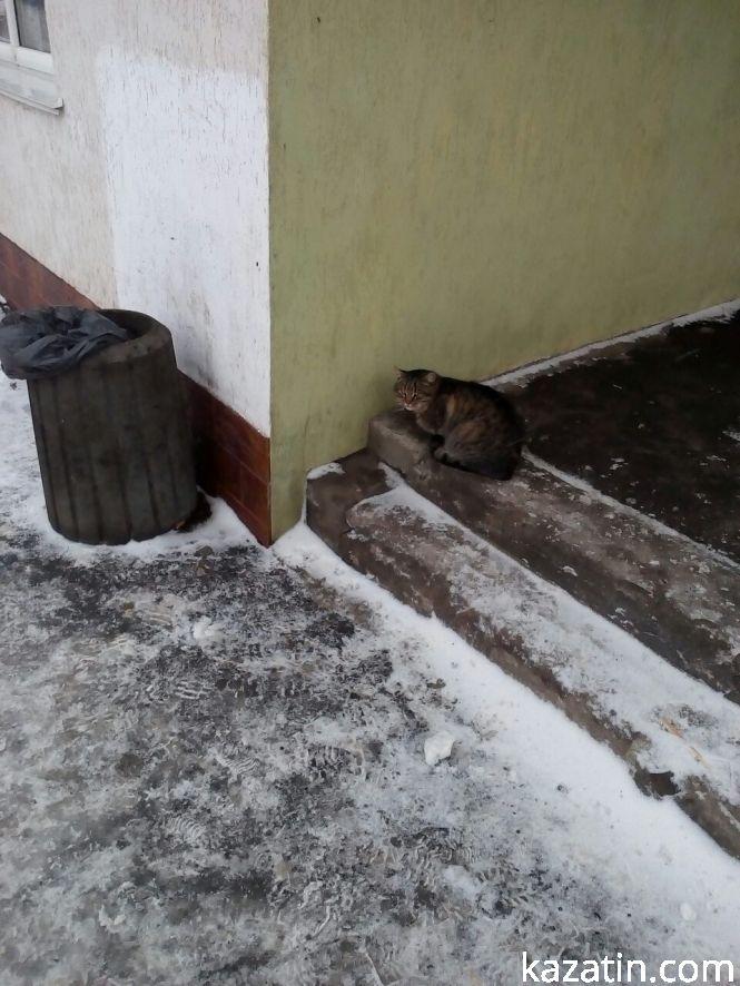 Фото дня:  у лікарнях черги на рентген, у школах — по-святковому, на дорогах — фури, фото №9 на сайті 20minut.ua