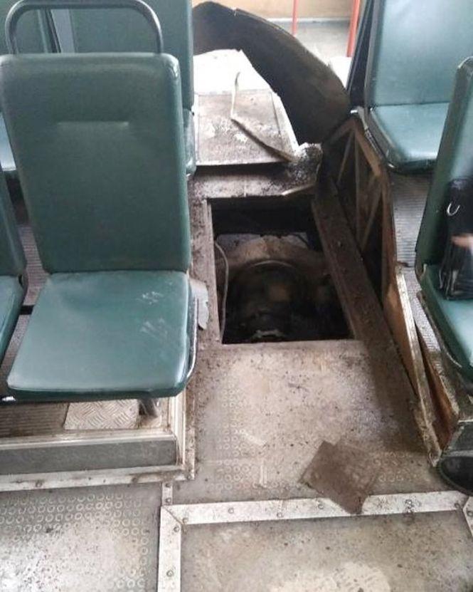Новини Вінниці - фото з У центрі Вінниці вибухнуло колесо тролейбуса під час руху. Є постраждалі (ОНОВЛЕНО) У центрі Вінниці вибухнуло колесо тролейбуса під час руху. Є постраждалі (ОНОВЛЕНО), фото №2 на сайті 20minut.ua